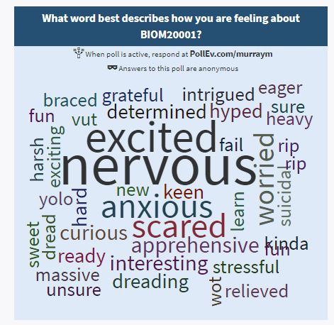 Responses to Word Cloud Poll