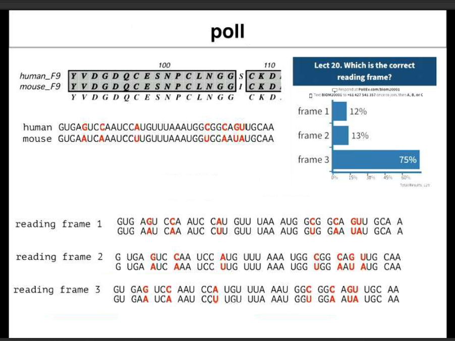 Example Poll From lecture