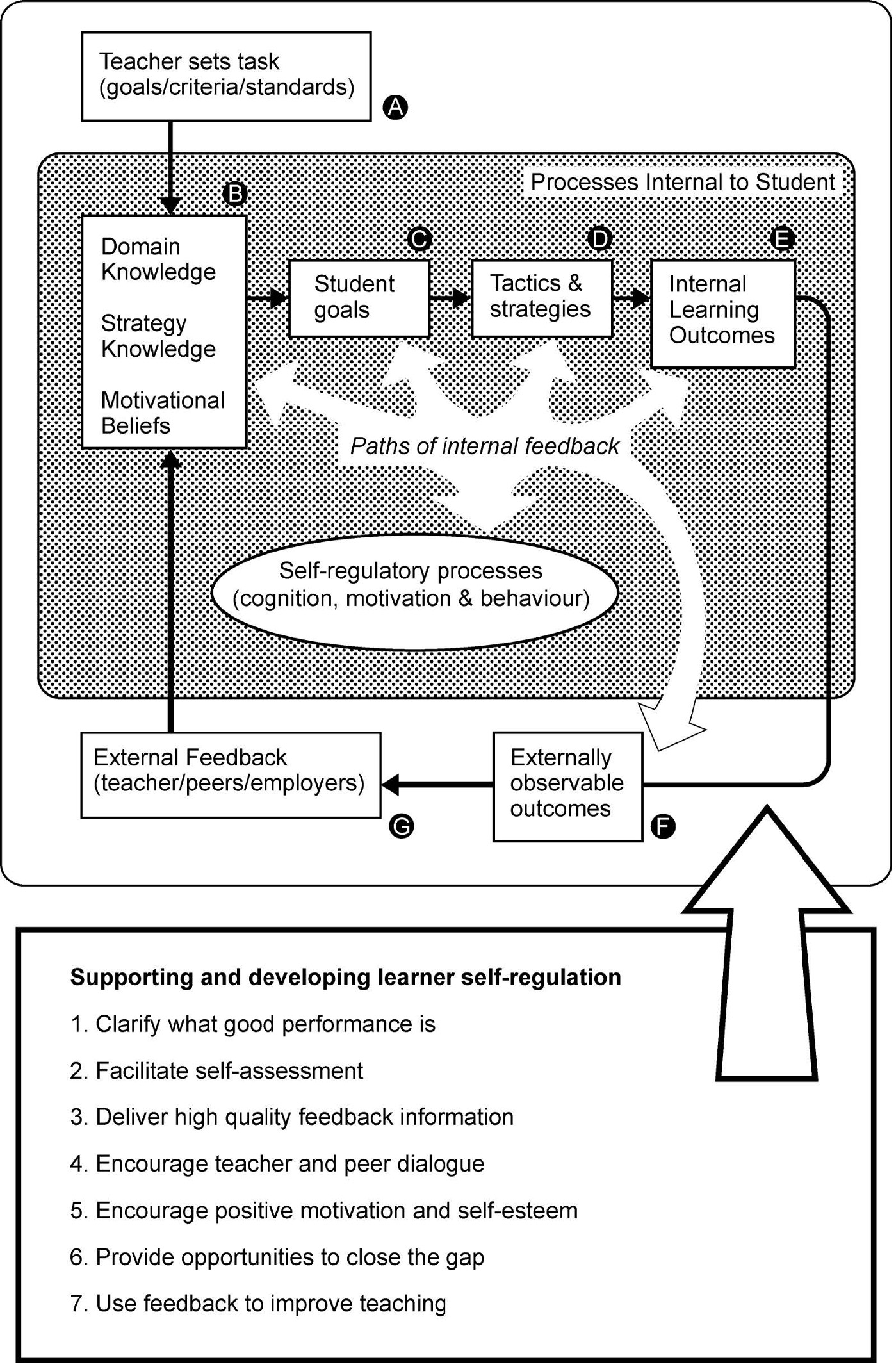 Model of self-regulated learning and the feedback principles that support and develop self-regulation in students 